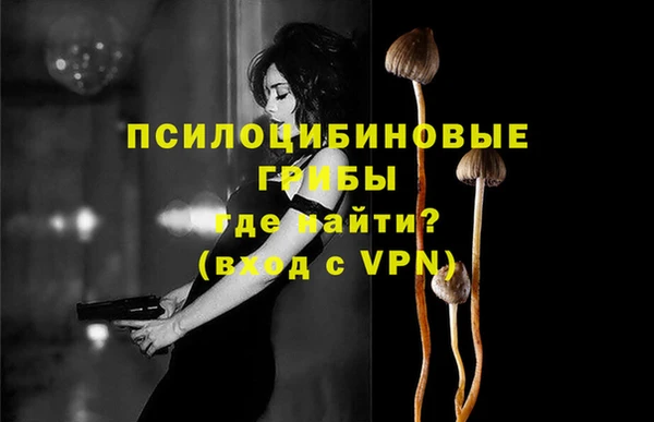 гидра Сафоново